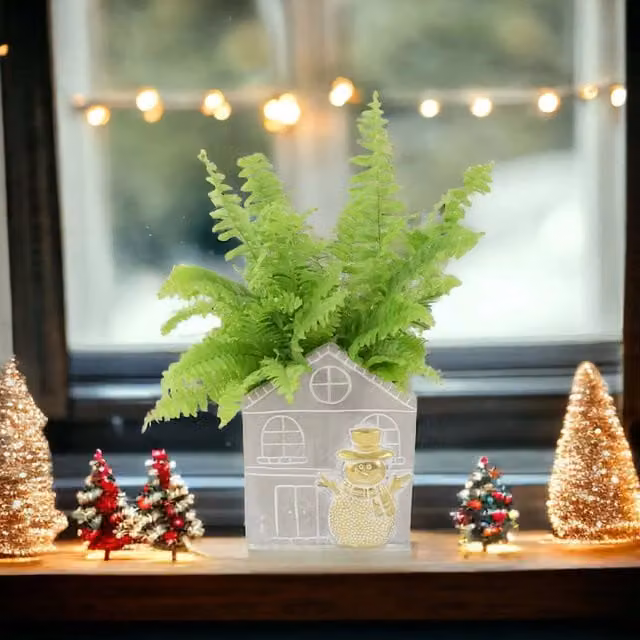 Plants by Post Nephrolepis Boston Fern in a Green Snowman Concrete Pot, 12 cm