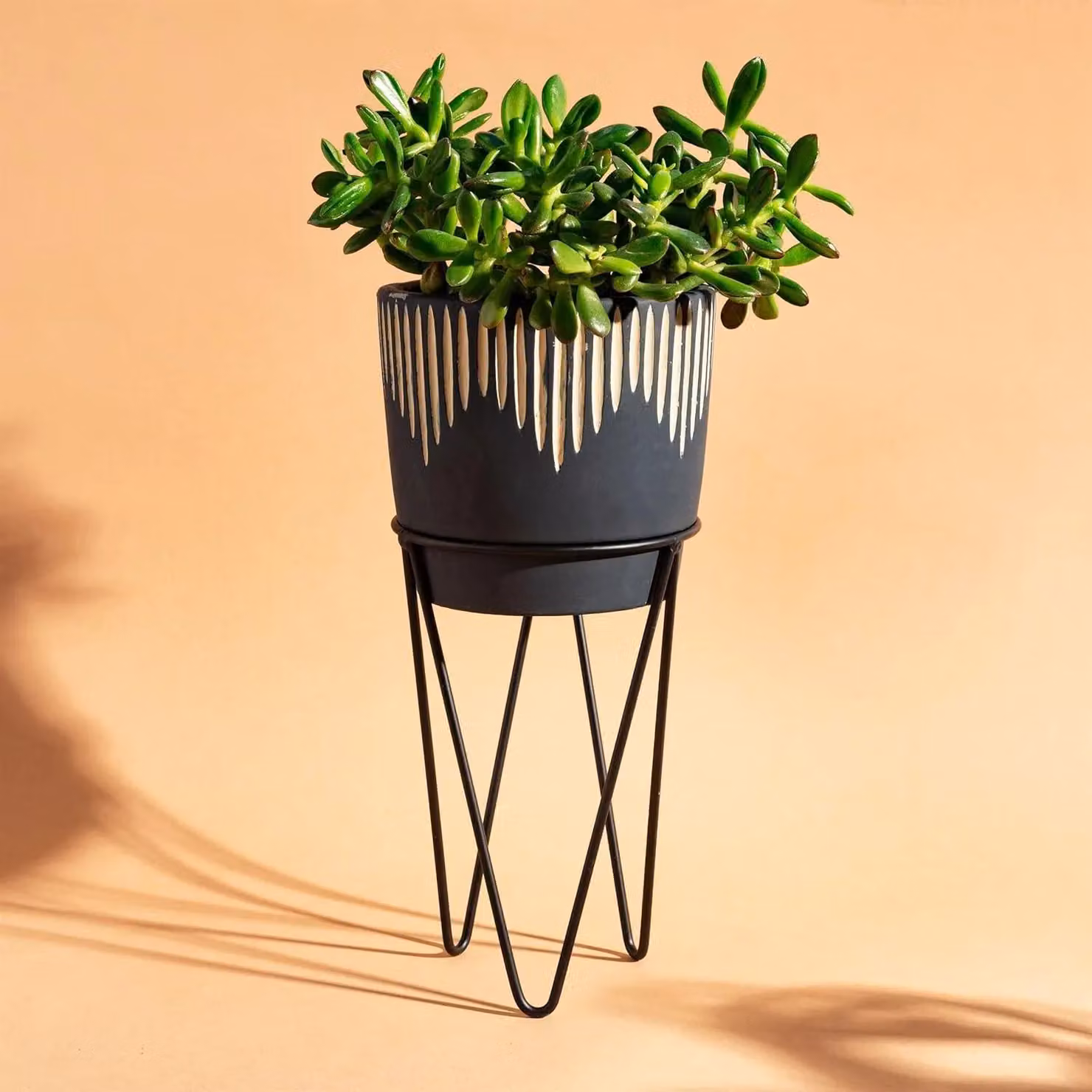 Sass & Belle Black and Sand Sgrafitto Concrete Tabletop Planter with Metal Wire Stand W/D/H: 14 x 14 x 30 cm – 3