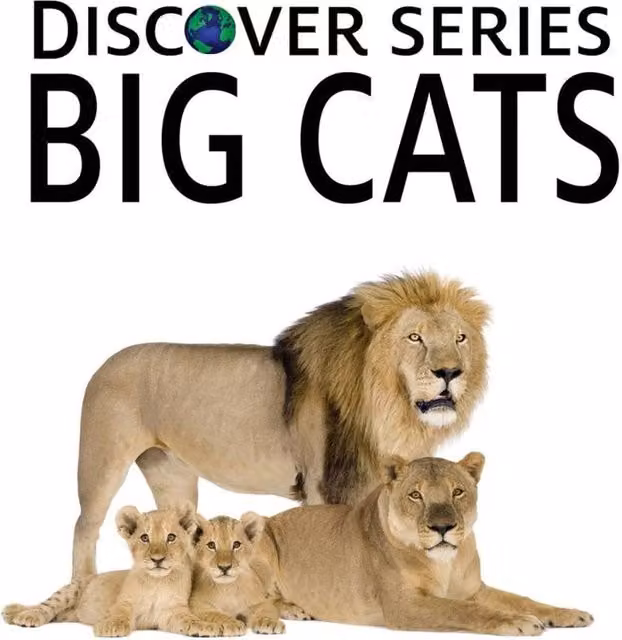 Xist Publishing Big Cats Hardcover Multicolour Book