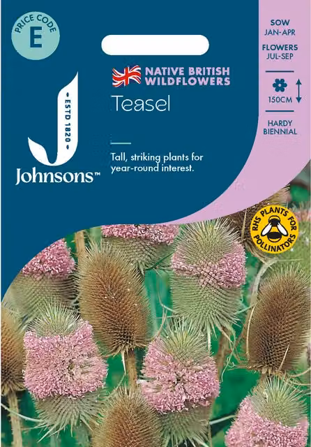 Johnsons Seeds Pink Teasel Wild Flower Seeds