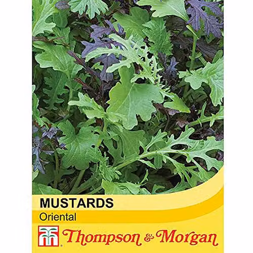 Thompson and Morgan Oriental Mustard Salad Leaves Vegetable Seeds, 400 Seeds