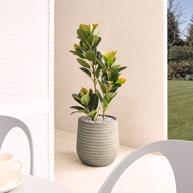 Wyld and Coco Green Fibre Clay Round Planter with Embossed Pattern, Diameter: 39 cm