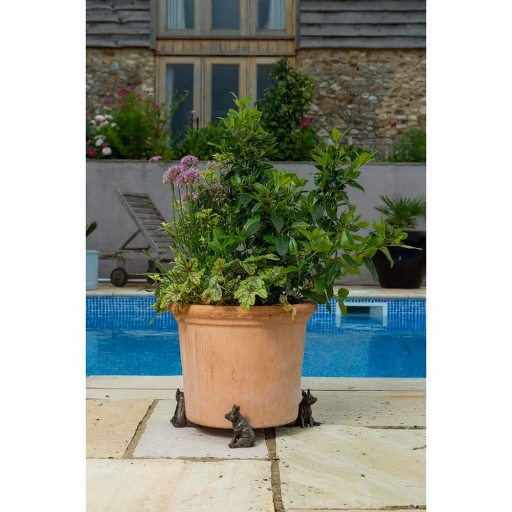 Jardinopia Pig Plant Pot Feet, Set of 3, Bronze, W6 x D8 x H9 cm – 3