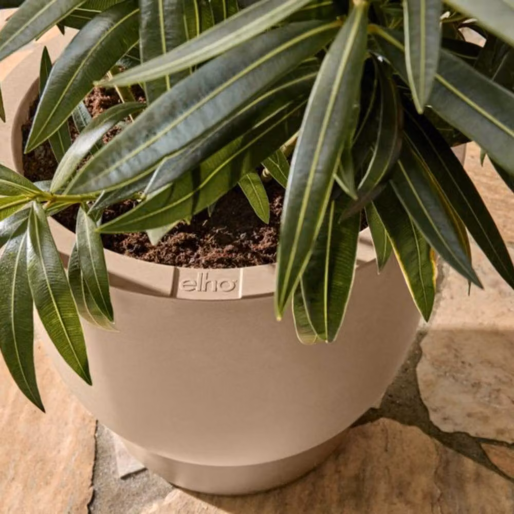 elho Amber Coupe 41 Planter, Beige – 2