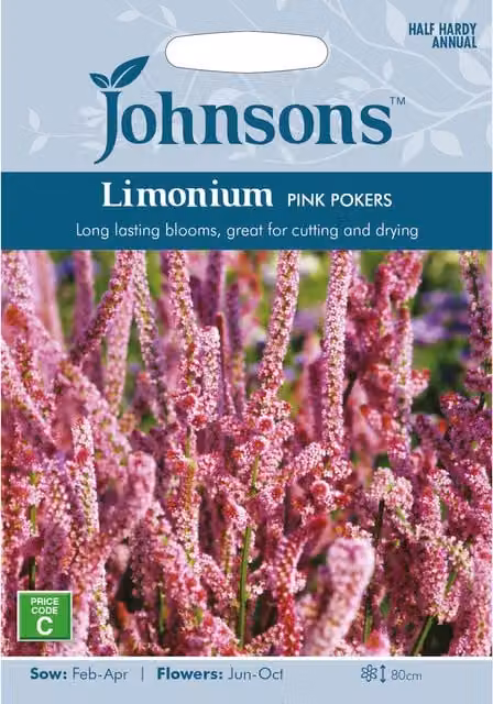 Johnsons Limonium Pink Pokers Ornamental Flower Seeds
