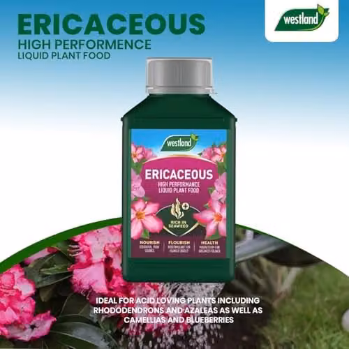 Westland Ericaceous Liquid Plant Food and Tonic, 1L – 3