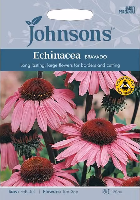 Johnsons Pink Echinacea Bravado Ornamental Flower Seeds for Spring and Summer Planting