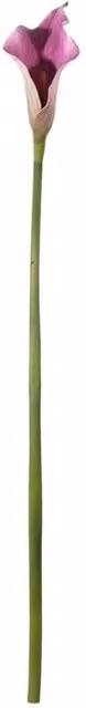 KDMD Botanica Purple Calla Lily Artificial Flowers, 4 Pack, Height: 60 cm