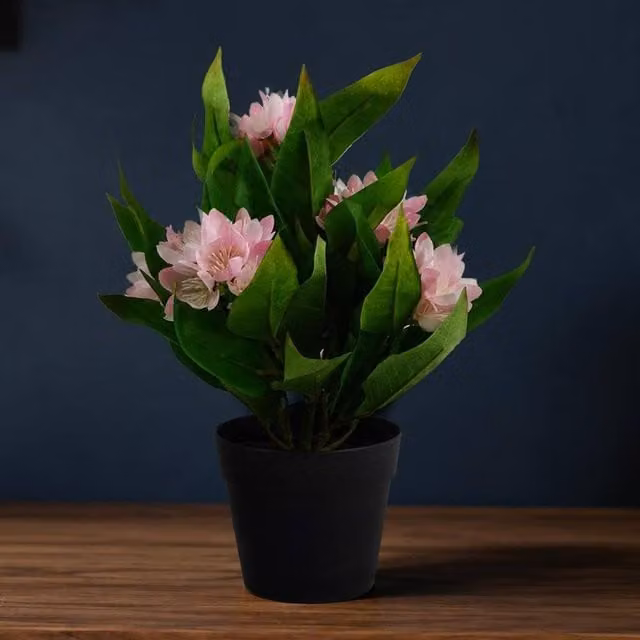 Botanik Artificial Freesia Potted Plant in Pink and Green, Height: 25 cm, Width: 18 cm