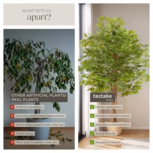 tectake Artificial Ficus Tree with Real Wood Trunk and Green Leaves, Height: 160 cm – 4