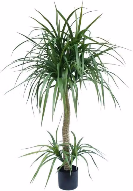 Leaf Design UK Artificial Green Dracaena Yukka Tropical House Plant, Height: 120 cm