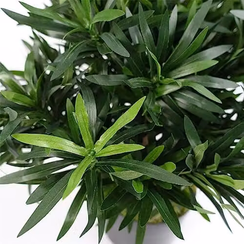 Leaf Design UK Small Green Artificial Bonsai Tabletop Tree H 40 cm x W 40 cm x D 40 cm – 3