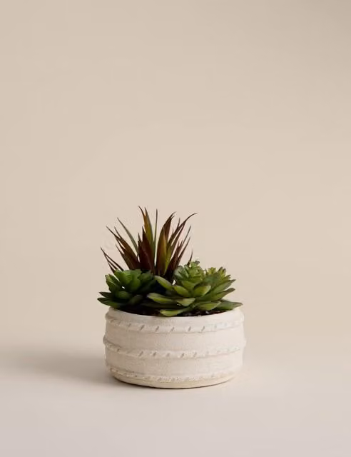 M&S Artificial Green Succulent in a Beige Round Ceramic Pot