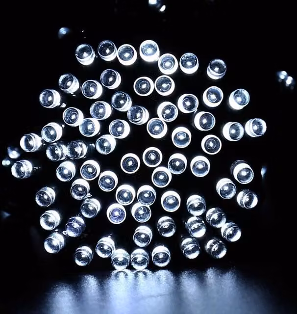 Primrose Solar LED String Lights in White