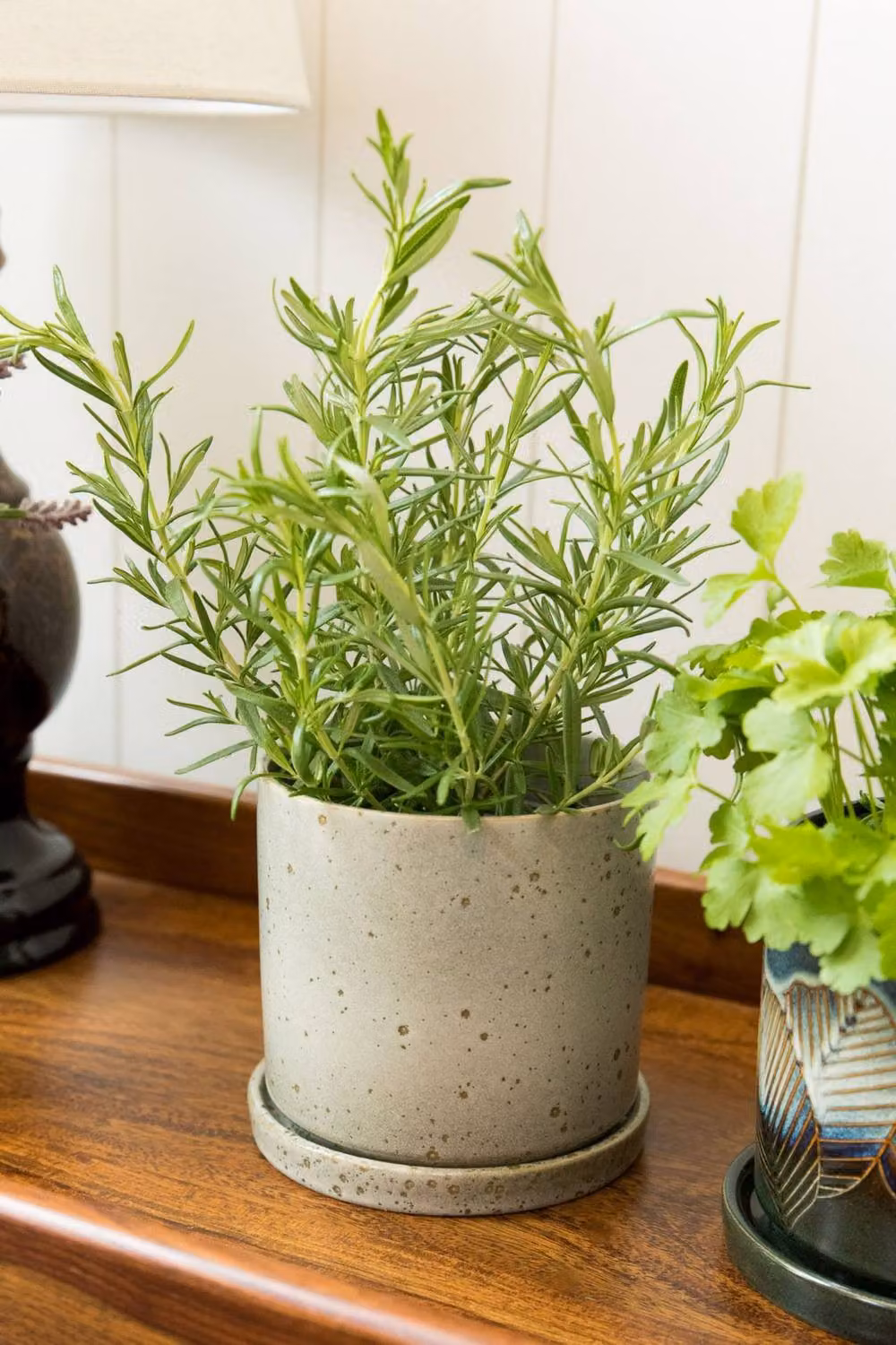 Scandi Home Sage Green Ceramic Plant Pot, Round Tabletop Design, Diameter: 12 cm – 2