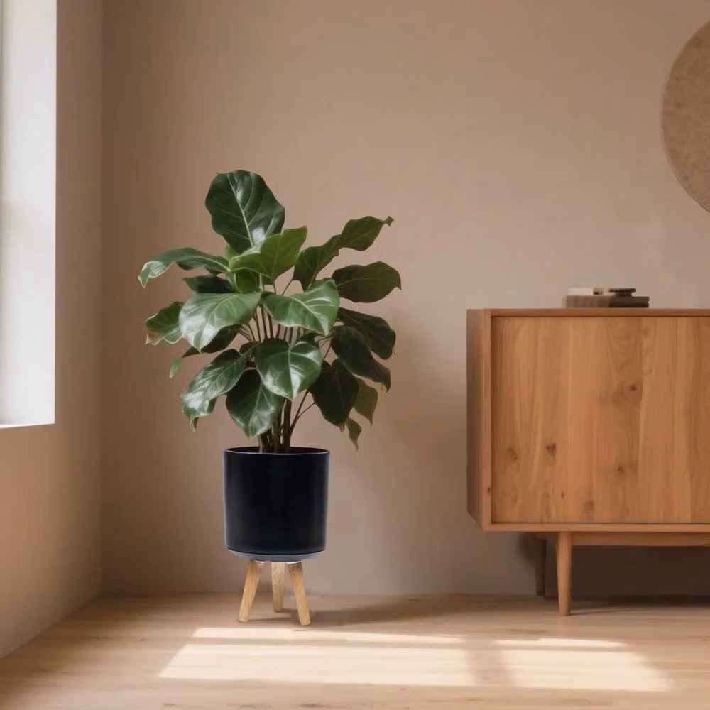 Simpa Urban 12L Round Black Plastic Planter with Wooden Legs, H 40 cm x Dia 25 cm – 2