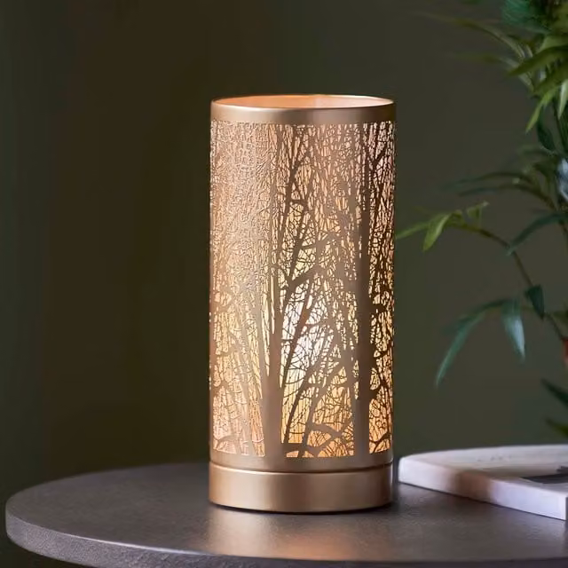 Pagazzi Mason Antique Brass Touch Table Lamp in Gold