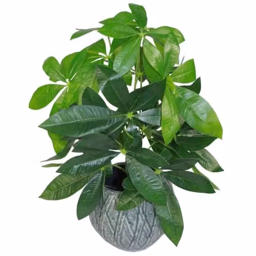 Leaf Design Green Tropical Artificial Potted Plant, Height: 50 cm