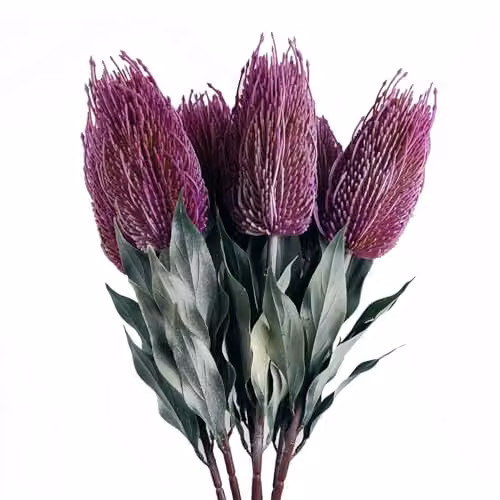 Leaf Design Pink Banksia Menziesii Artificial Flower Stems, Pack of 6, Height: 75 cm – 4