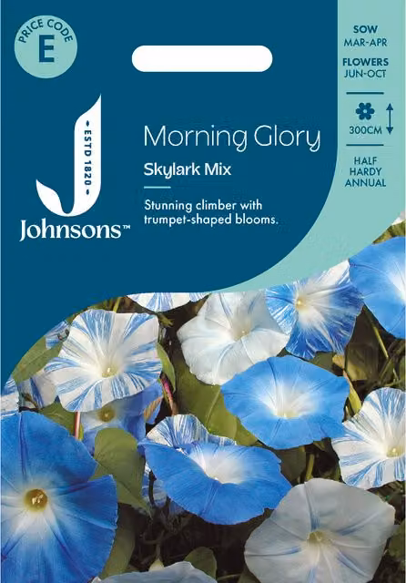 Johnsons Seeds Morning Glory Skylark Mixed Blue Climbing Flower Seeds