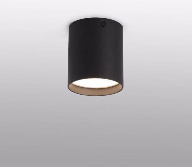 Faro Haru LED Surface Mounted Cylinder Ceiling Light in Black