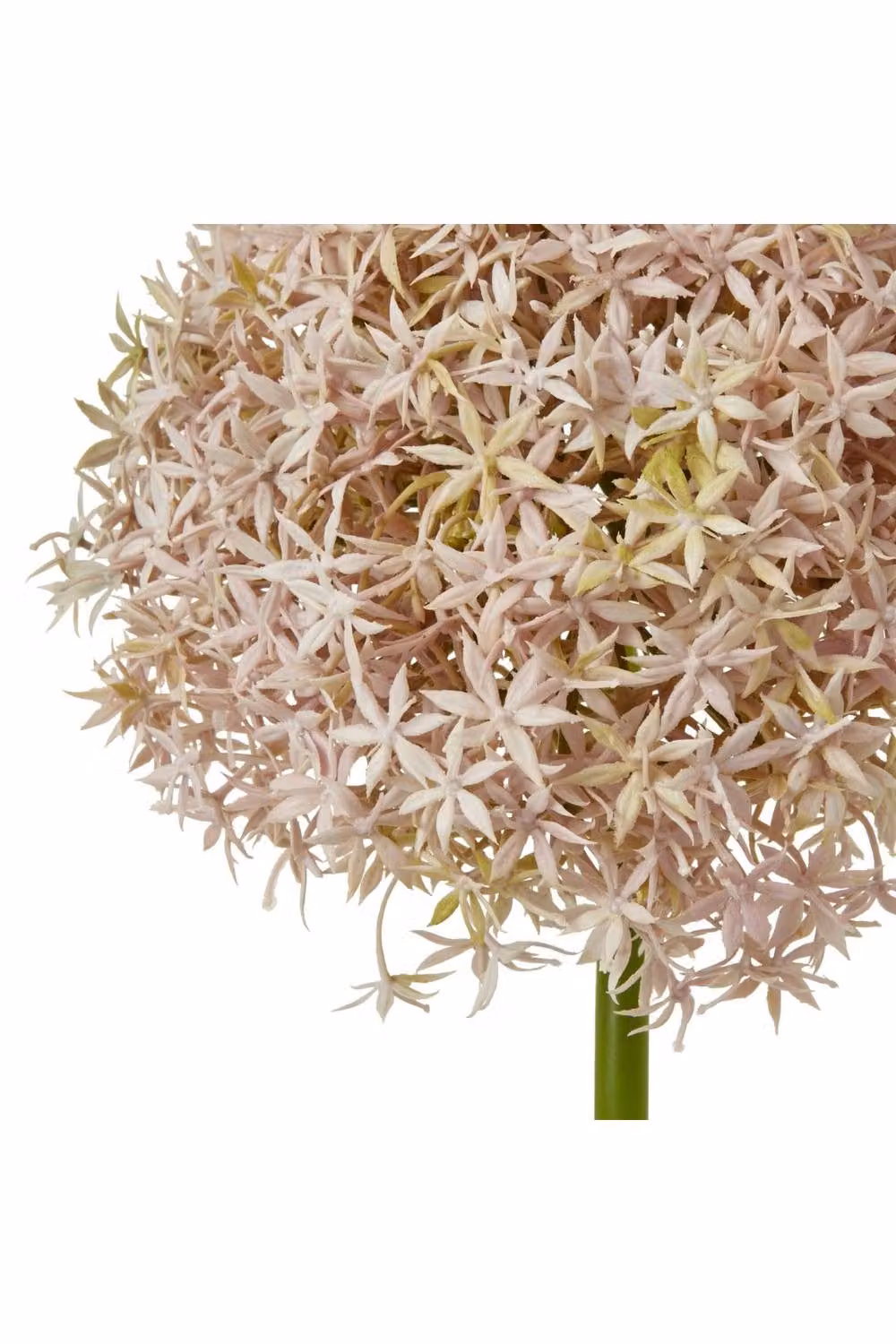 KDMD Lilac Giant Allium Faux Floral Stem in Purple and Pink – 2