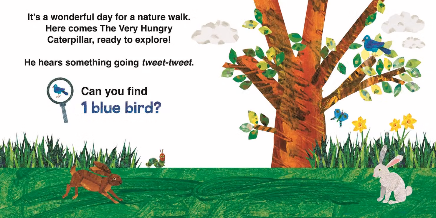 Boxer Gifts The Very Hungry Caterpillar's Nature Walk Search and Find Multicolour Cardboard Book – 2