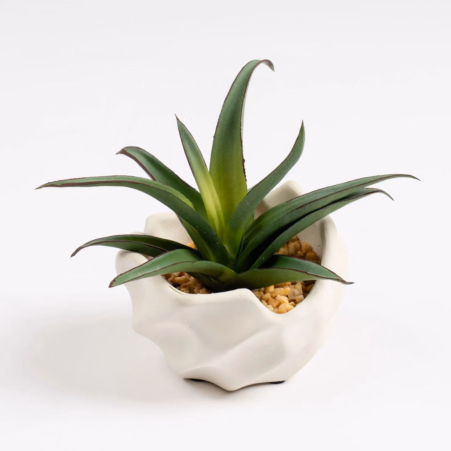 Scottish Everlastings Ltd Spiky Succulent in Wavy Concrete Pot, Green and White – 2
