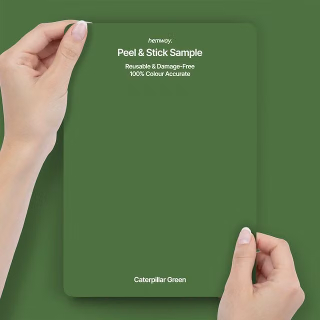 Hemway Interior Paint Sample Peel and Stick Swatch in Caterpillar Green