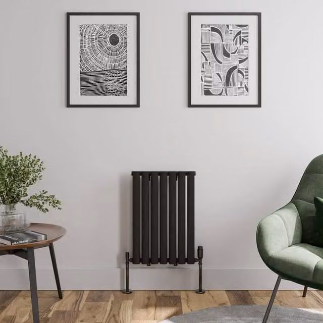 Temprazo Oval Tube Single Panel Horizontal Designer Radiator in Black, W: 60.0 cm, H: 42.0 cm