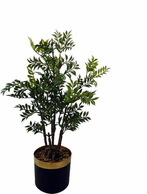 Pegdev Artificial Nandina Bonsai Ficus Tree Potted Plant, Green and Black, Height: 60 cm