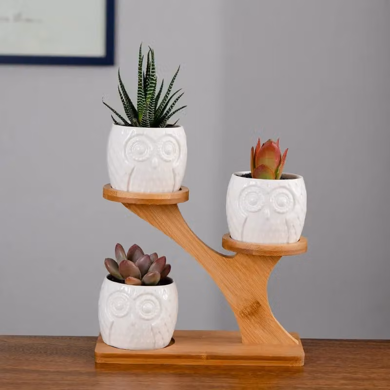 Simpa 3-Piece White Ceramic Owl Plant Pots on Wood Stand, H 7.3 cm x Dia 7.3 cm – 2