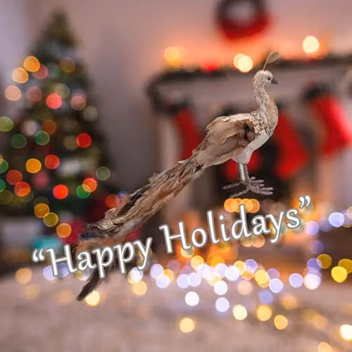 VFM e-Store Gold Peacock Christmas Decoration, W/H: 21 x 14 cm – 3