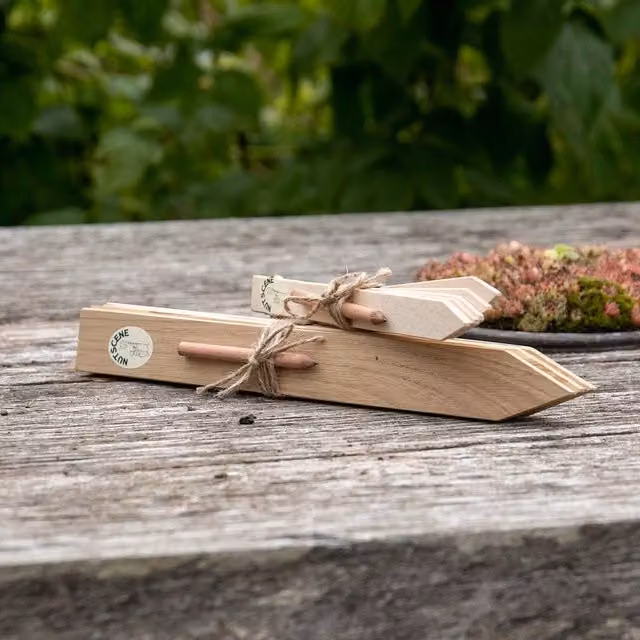 Nutscene White and Brown Wooden Plant Labels Set of 4 with Pencil