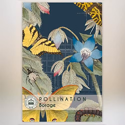 Thompson and Morgan Borage Kew Pollination Collection Blue Borago officinalis Hardy Annual Wildflower Seeds (Approx. 100 Seeds) – 2