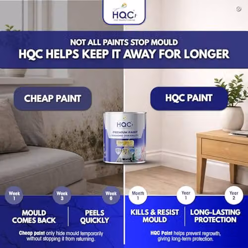 HQC Paints Anti Mould Resistant Matt Interior and Exterior Paint, Beige, 1 l – 4