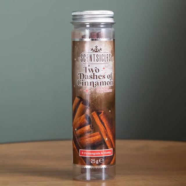 Samuel Alexander Two Dashes of Cinnamon Scented Christmas Scentsicles with 6 Hanging Hooks, Green, 25g