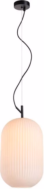 Netlighting Rues Oval Dome Pendant Ceiling Light in Matt Black