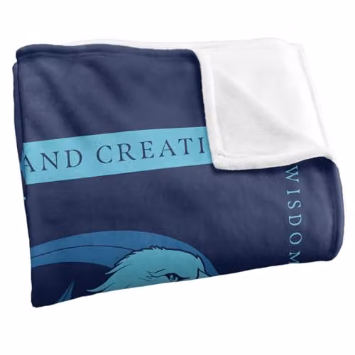 Warner Bros. Harry Potter Ravenclaw Super Soft Fleece Throw Blanket for Children, Multicolour, W/D/H: 91.44 x 147.32 x 1.0 cm – 2