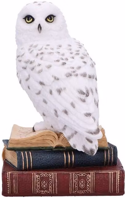 Nemesis Now Library of Wisdom White Owl Figurine, Height: 17 cm