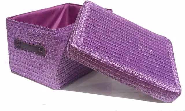 Topfurnishing Storage Baskets with Handles and Lid, Purple, 20 cm, Pack of 2
