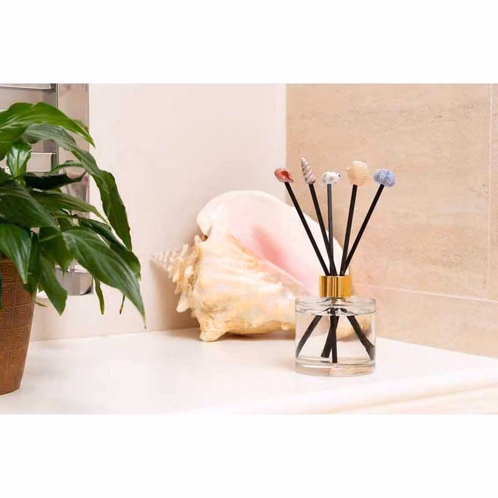 Jardinopia SeaShell Range Multicolour Glass Tabletop Diffuser Decor – 2