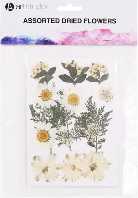 Art Studio Mixed Organic Dried Flowers, Multicolour, 6.0 g