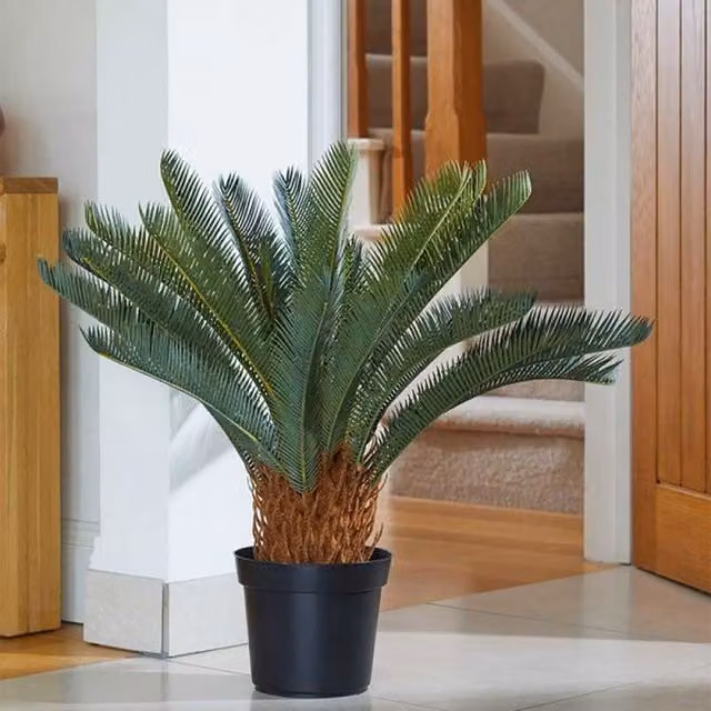 Marco Paul Artificial Potted Sago Palm Tabletop Plant in Green, Brown and Black