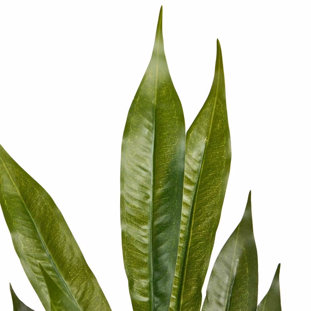 Wyld and Coco Home Studio Realistic Green Artificial Potted Indoor Tree, Height: 180 cm – 3