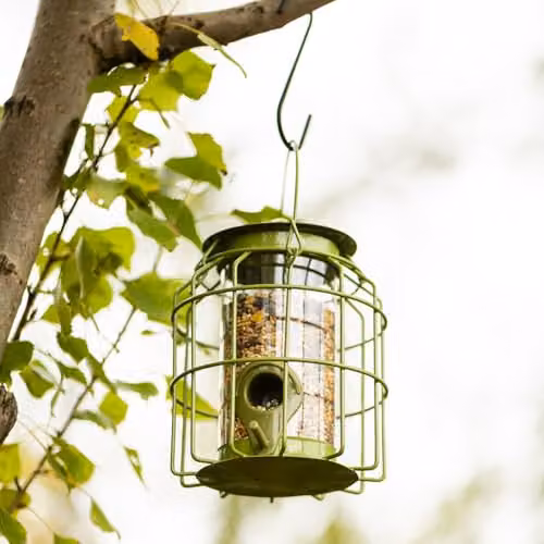 Happy Beaks Mini Squirrel Proof Metal Seed Feeder in Sage Green, W/D/H: 15.0 x 11.5 x 11.5 cm – 3