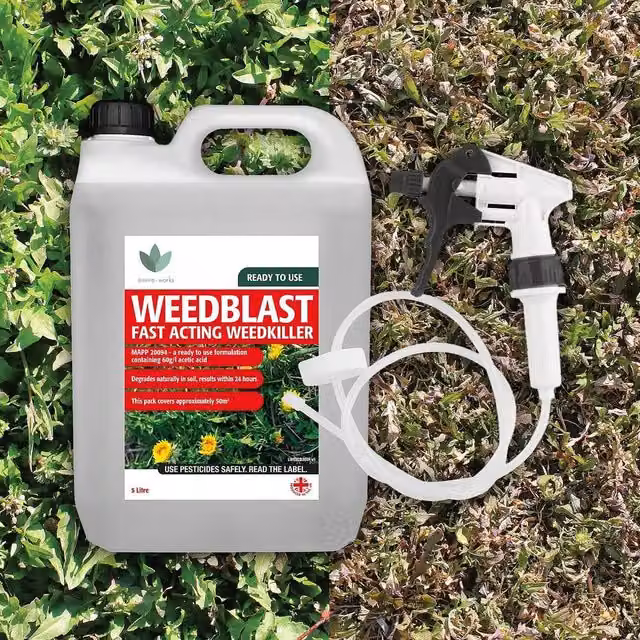 Gainsborough Glyphosate Free Weed Killer Spray, 5 l – 1