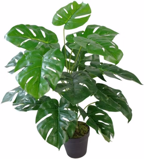 Dyzi Artificial Monstera Potted Tabletop Plant in Green