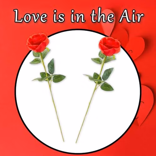 VFM e-Store Set of 2 Red Artificial Long Stem Roses, H 63 cm x W 8 cm – 4