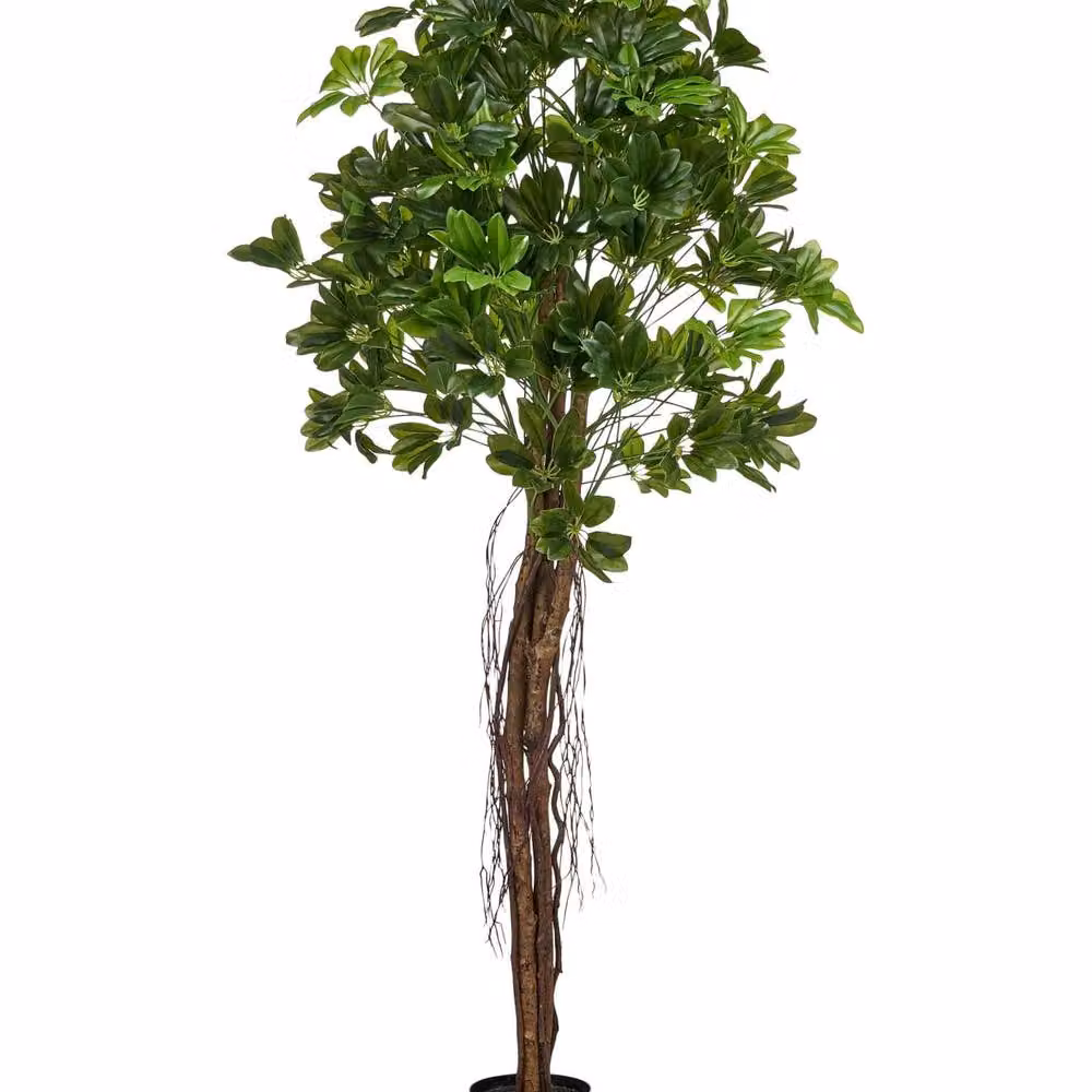 Wyld and Coco 175 cm Lifelike Artificial Umbrella Tree in Green – 2